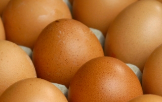 Farm fresh eggs