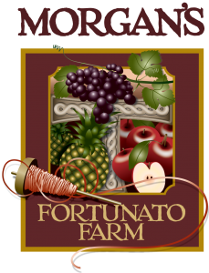 MFF_FinalLogo_Large