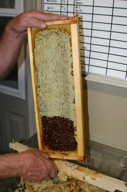 WV_Honey